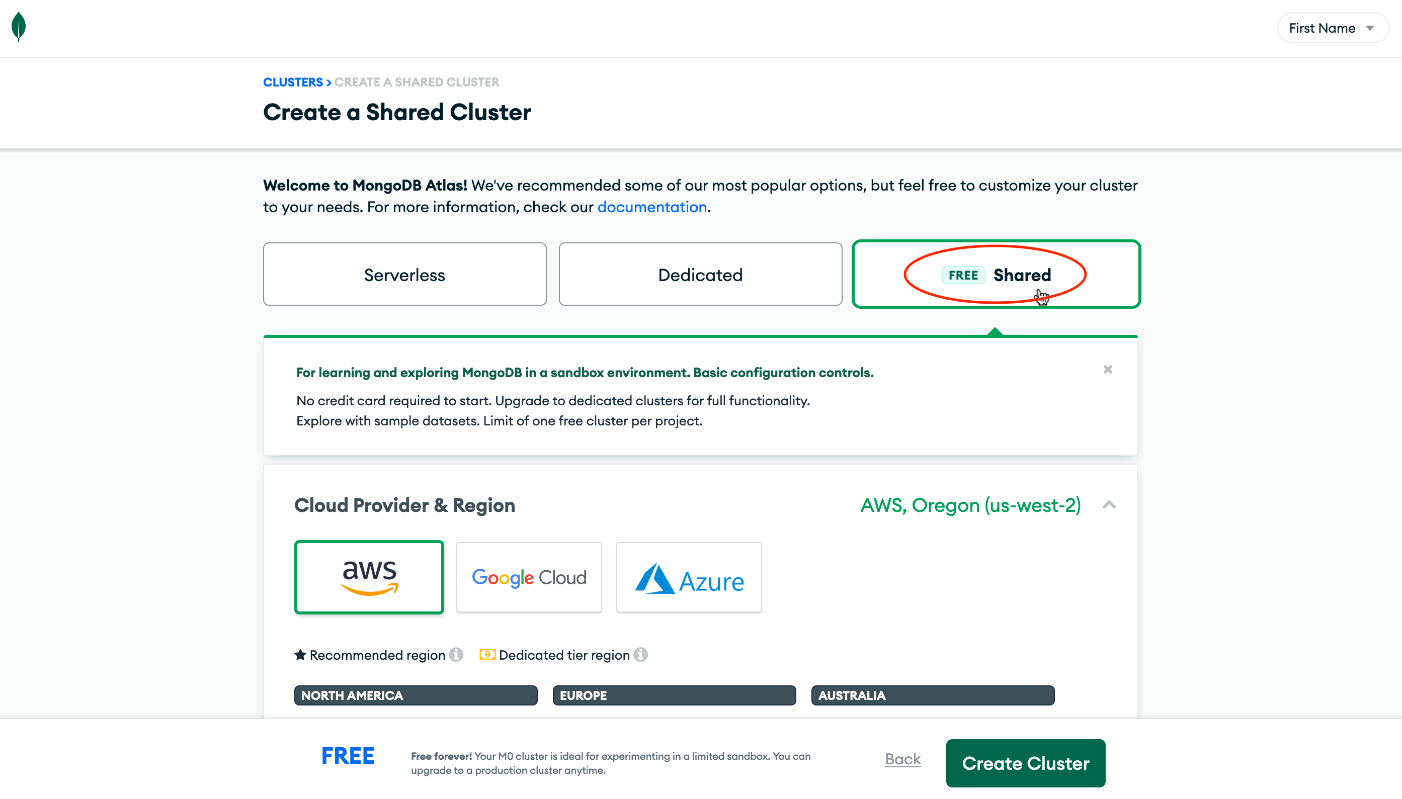 Screenshot of making sure the shared option is selected.